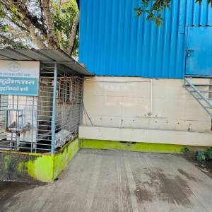 WhatsApp_Image_2026-02-16_at_3.50.41_PM_3_original